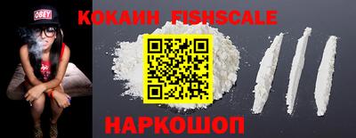 прущие грибы Можайск
