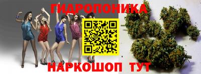 PSILOCYBIN Можга