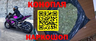 прущие грибы Можайск