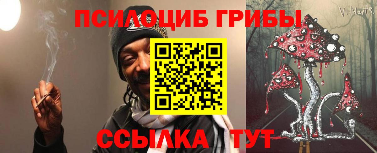 Ставрополь  Псилоцибиновые грибы мухоморы  Вход с VPN 